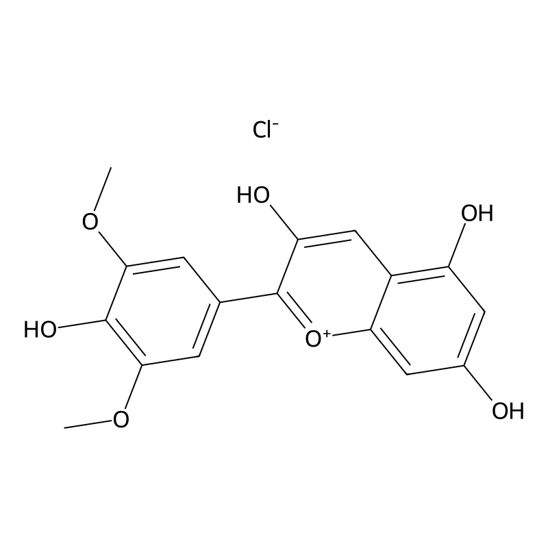 Malvidin chloride