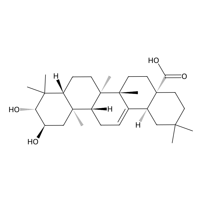 Maslinic acid