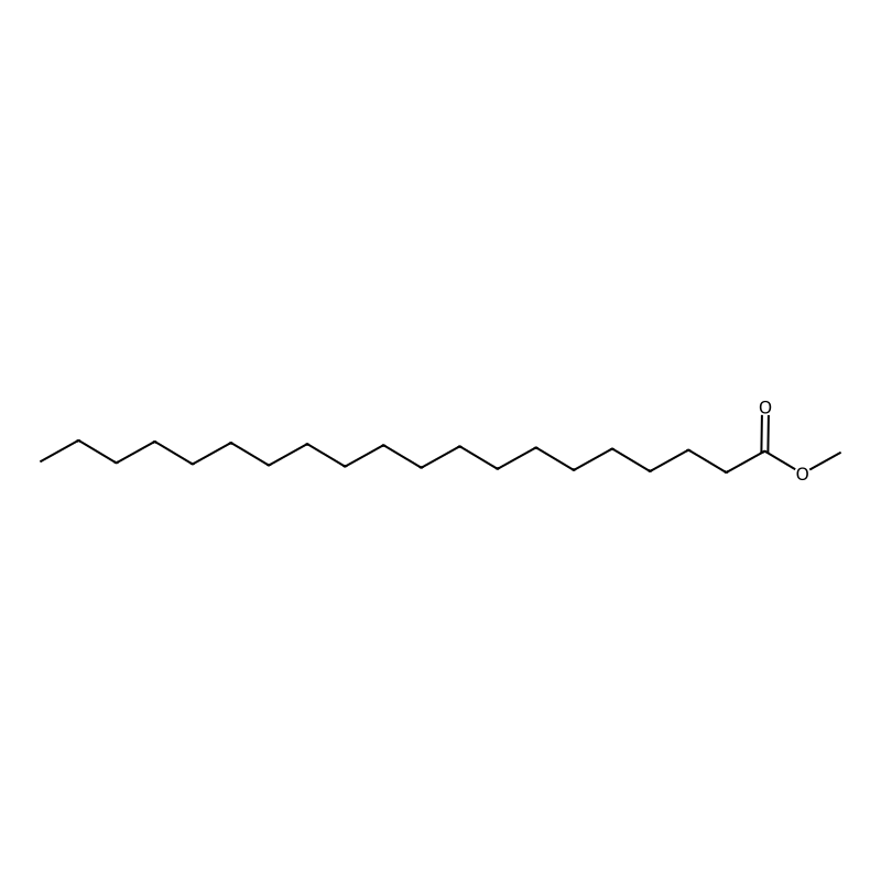 Methyl arachidate