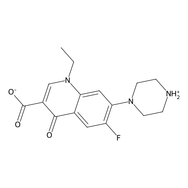 Norfloxacin