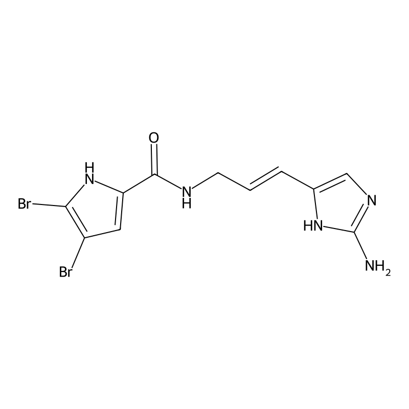 Oroidin