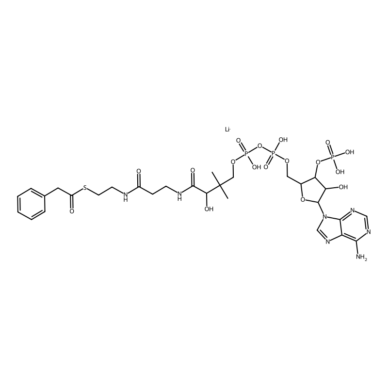 phenyl acetyl Coa