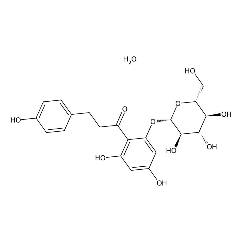 Phlorizin dihydrate