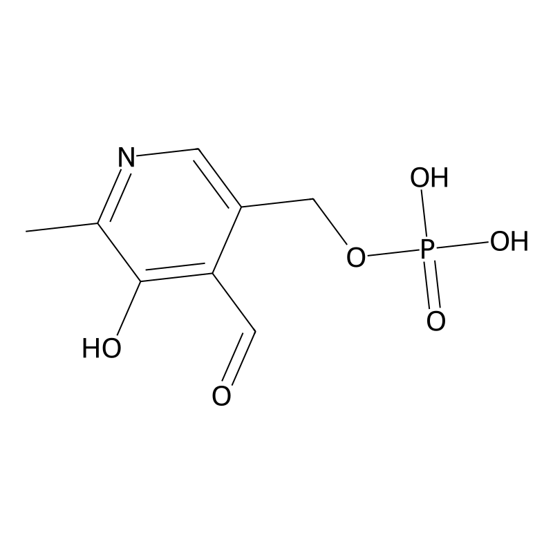 Pyridoxal phosphate