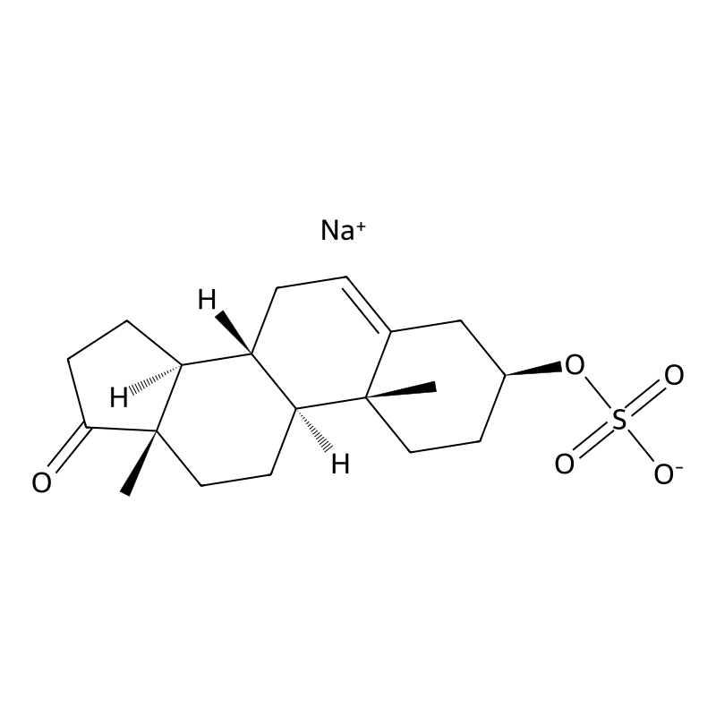 Sodium prasterone sulfate