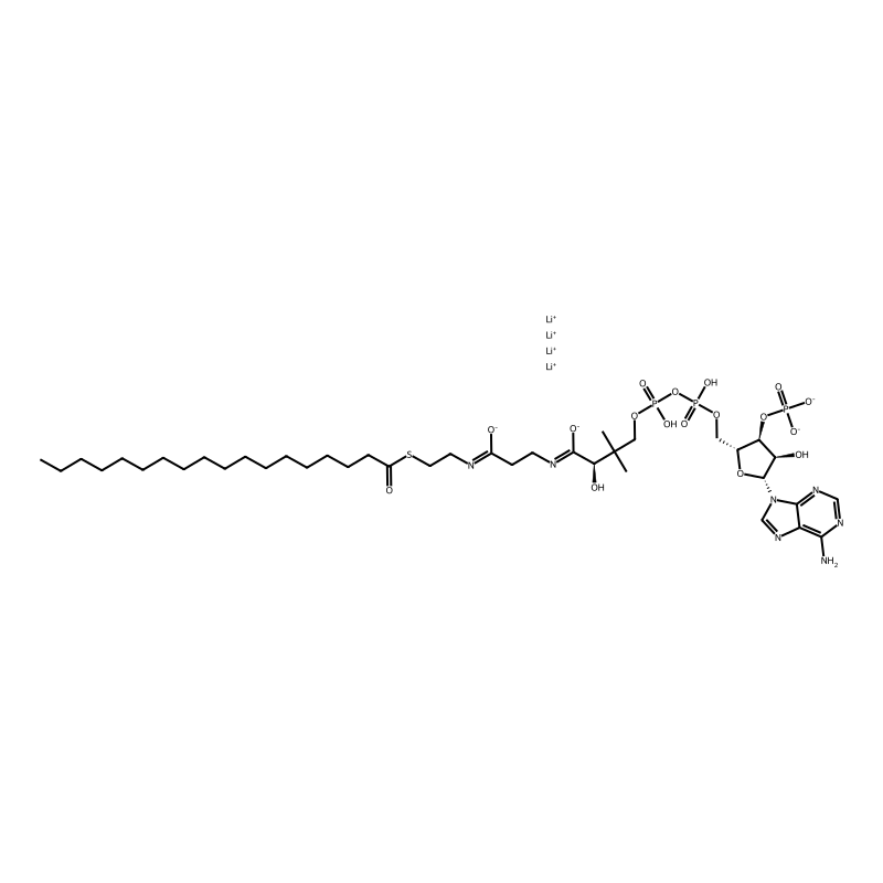 Stearoyl coenzyme A lithium salt