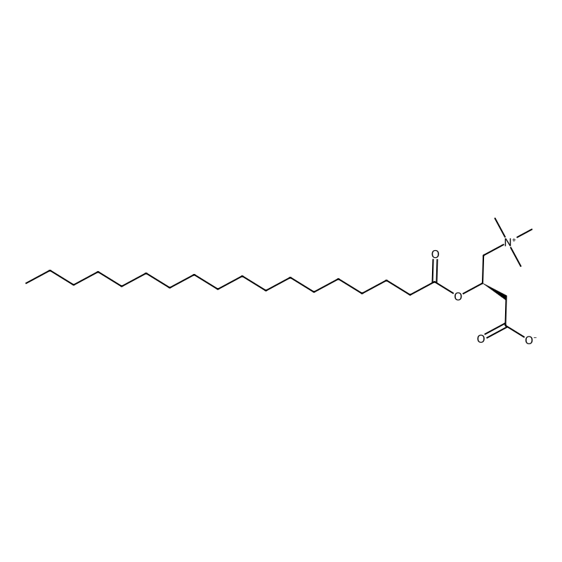 Stearoylcarnitine