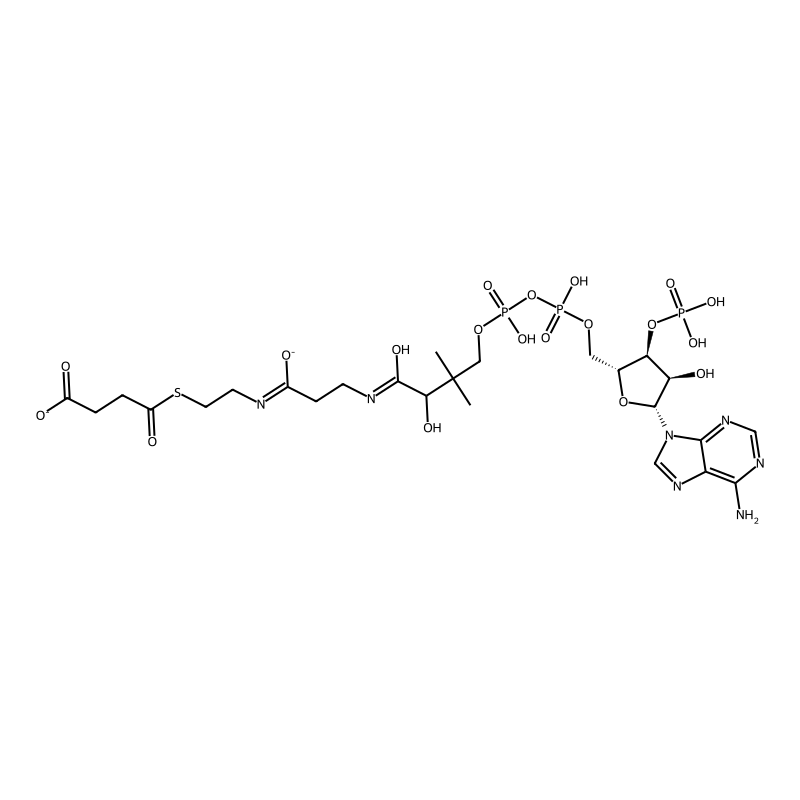 Succinyl coenzyme A sodium salt