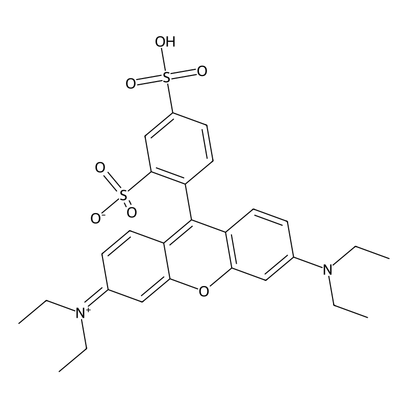 Sulforhodamine B