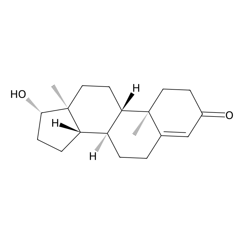 Testosterone