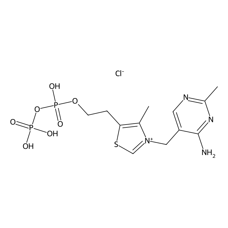 Thiamine pyrophosphate