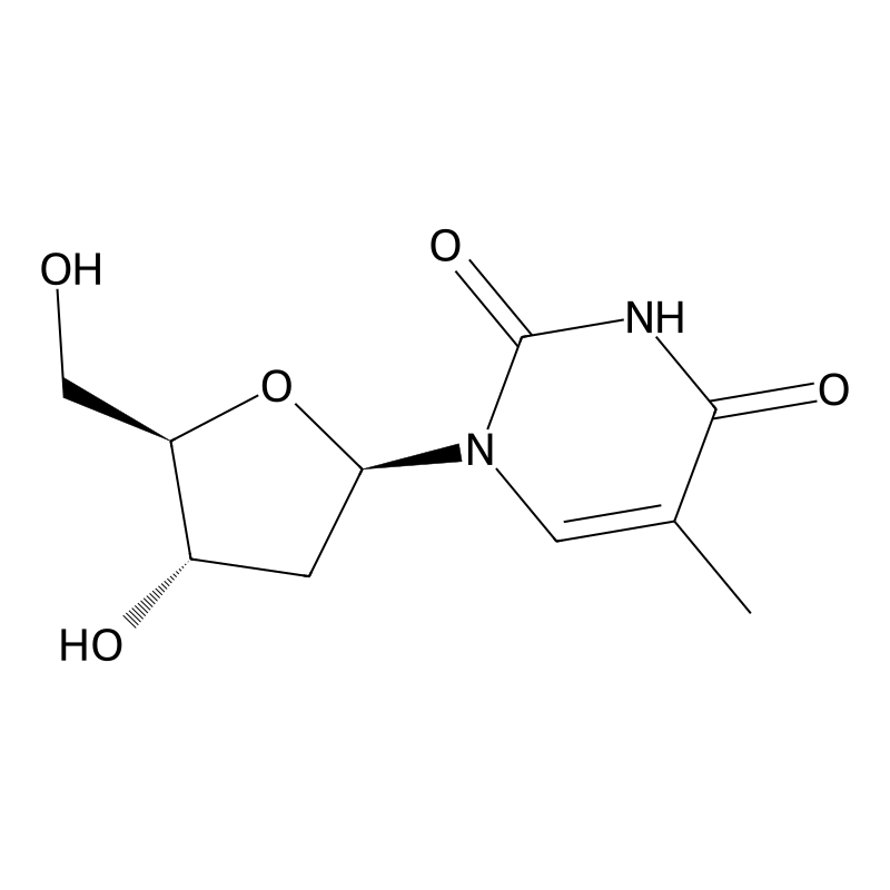 Thymidine