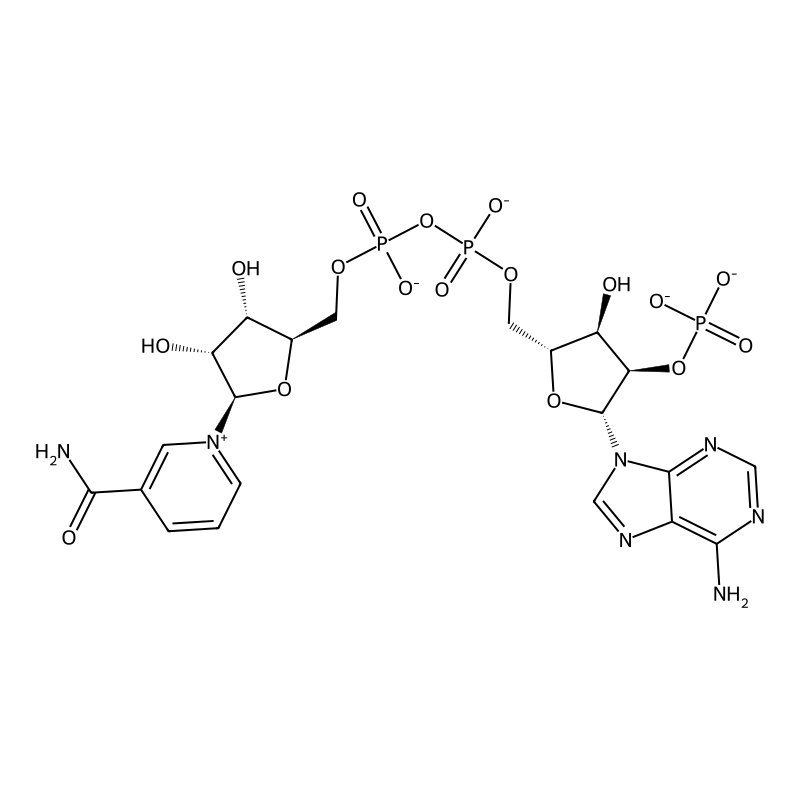 Triphosphopyridine nucleotide