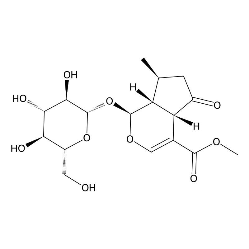 Verbenalin