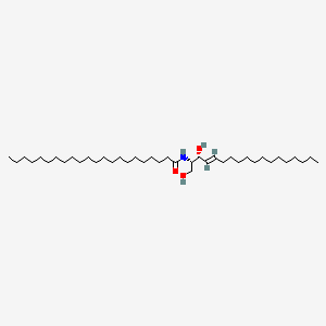 C22 Ceramide