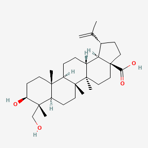 23-Hydroxybetulinic acid