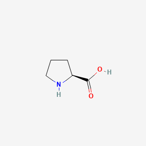 L-proline